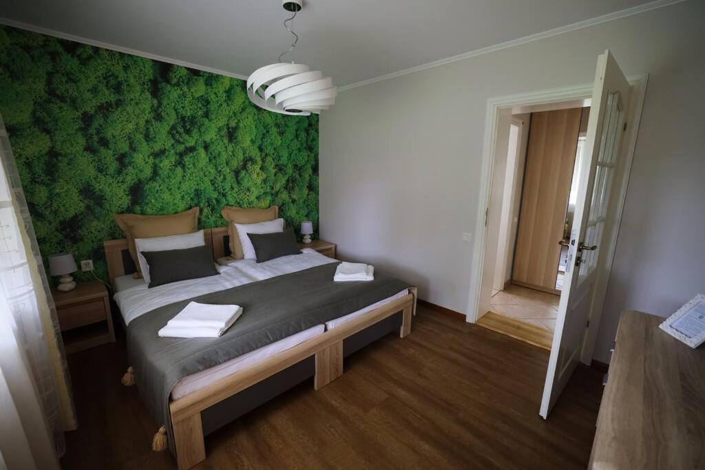 Greenland Apartments ツェーシス エクステリア 写真